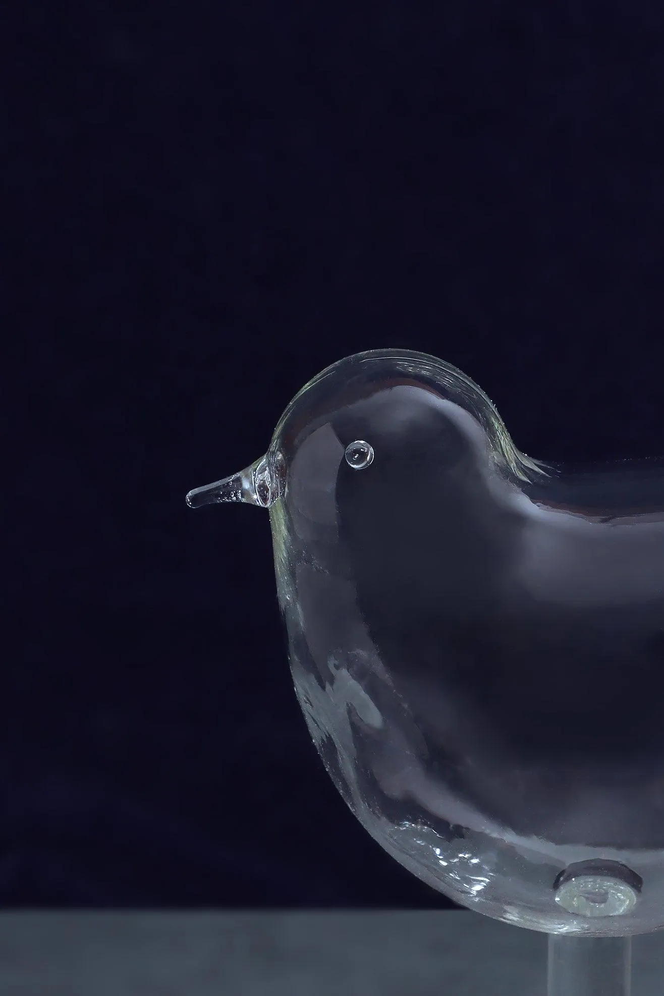 Avian Elegance: Bird-Shaped Cocktail Glass