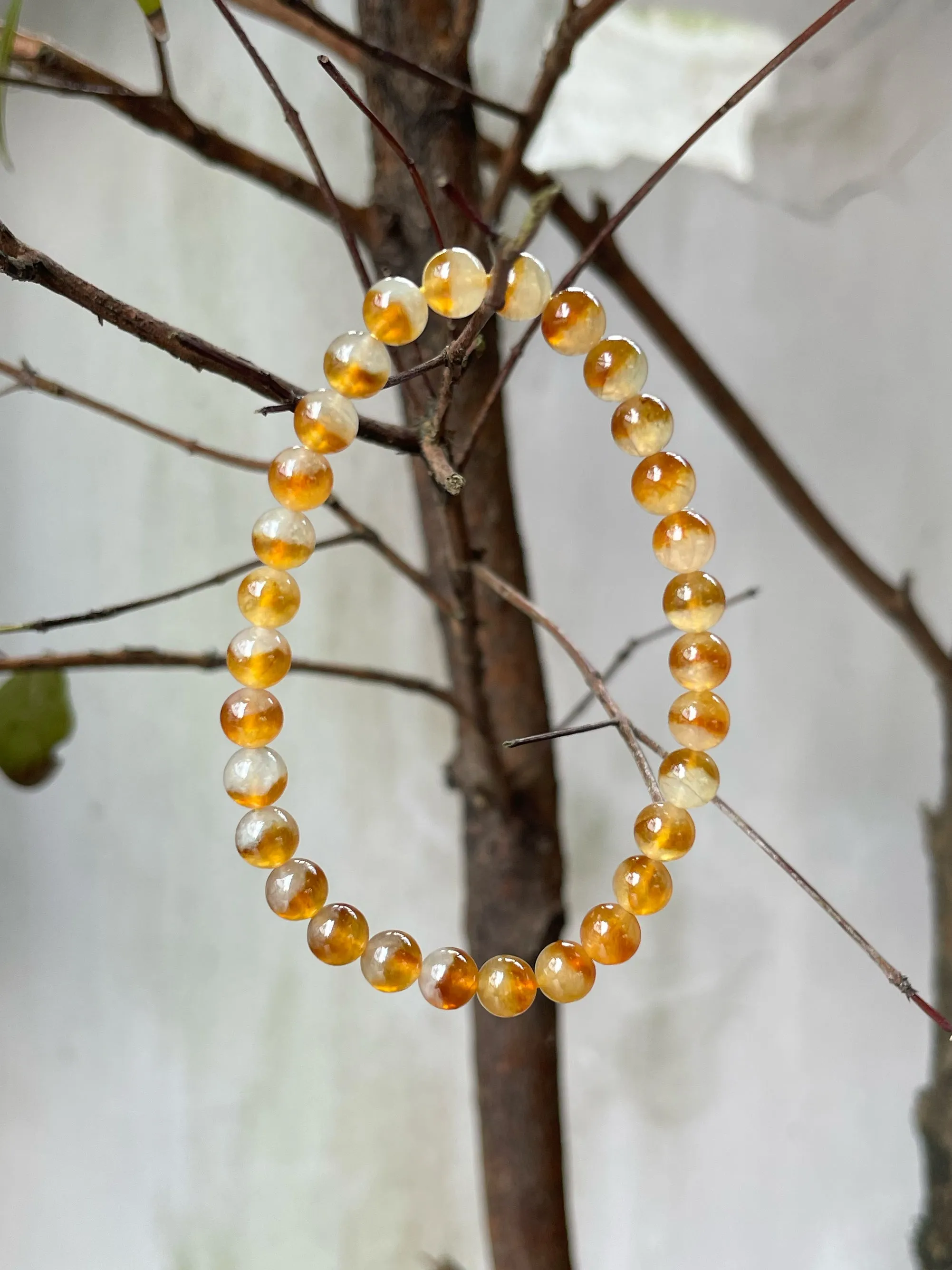 Icy Yellow Jade Bracelet - Round Beads (NJBA103)
