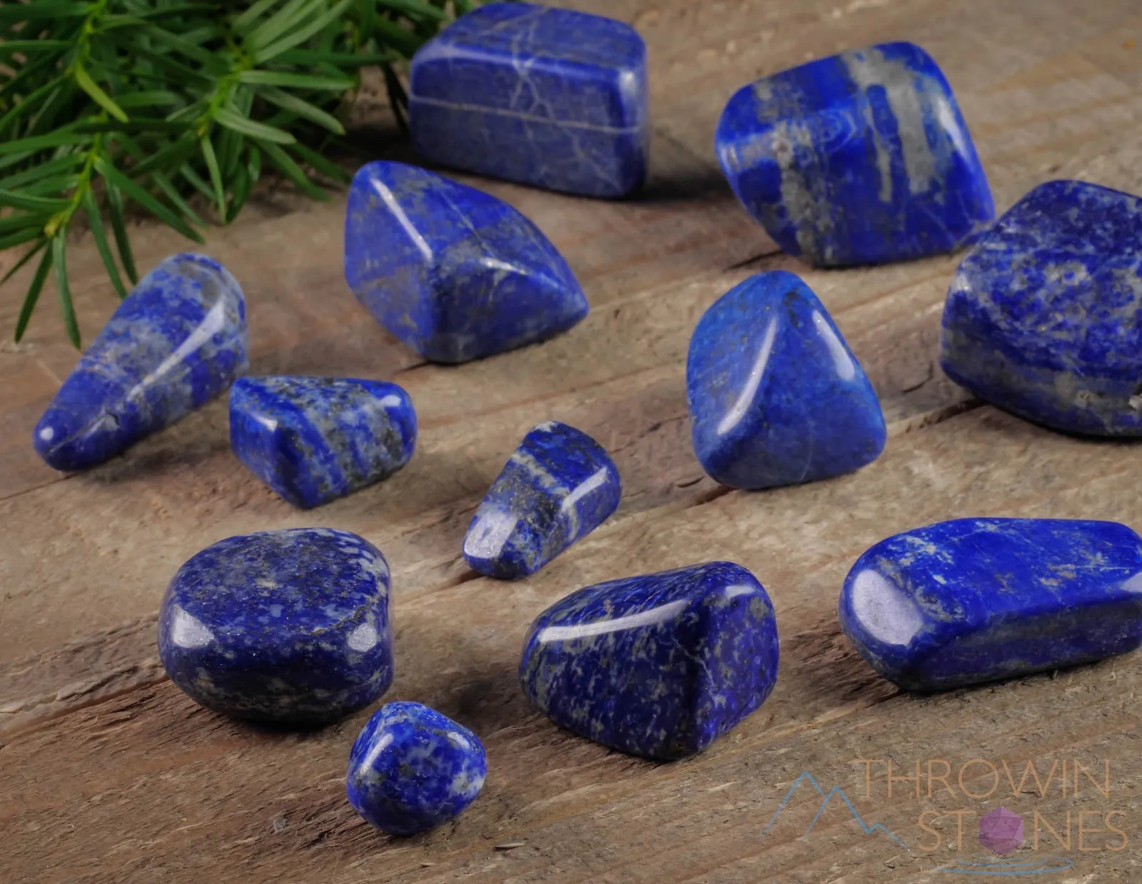 LAPIS LAZULI Tumbled Stones - Tumbled Crystals, Self Care, Healing Crystals and Stones,  E1178